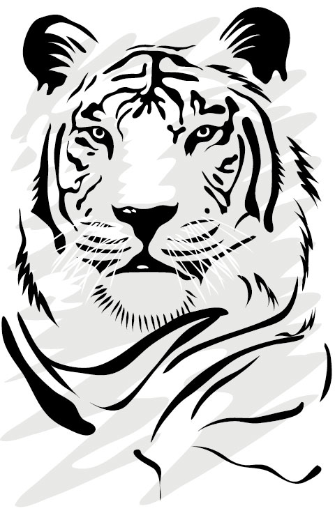 Set of Tiger vector picture art 06  