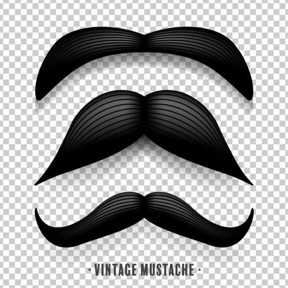 Moustache noire illustration vecteur 03  