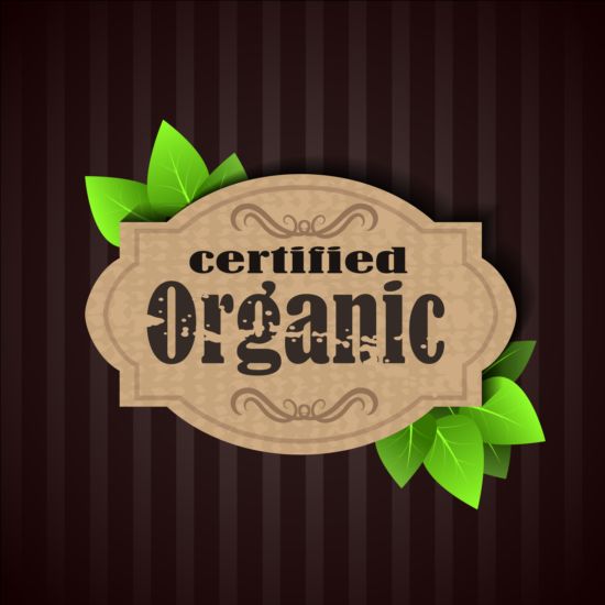 Сертифицированные органические этикетки и зеленые листья вектора 04  