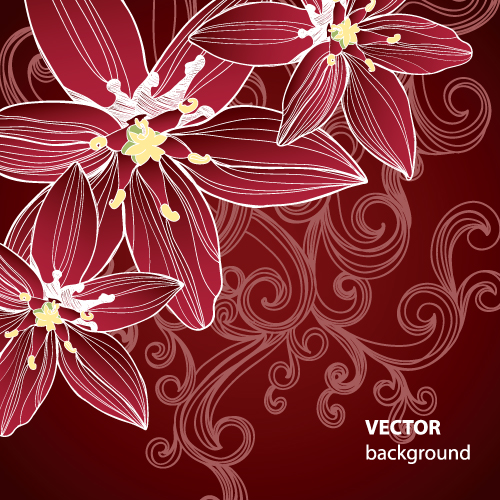 Set of Drawing Flower Vector Backgrounds vector 01  