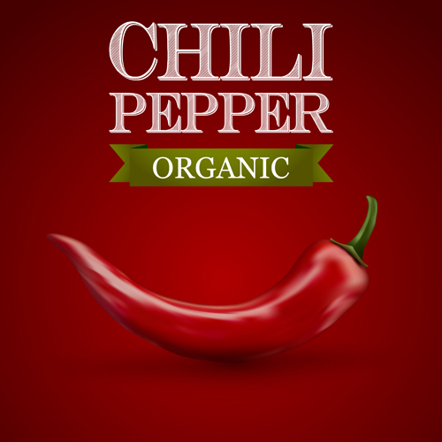 Organic chili pepper poster vector 01  