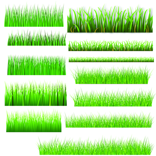 Vector Green Grass Elements set 04  