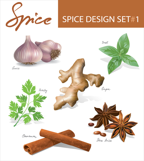 Set of Different Spice design vector 02  