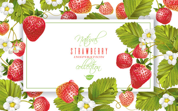 Strawberry frame vector material  