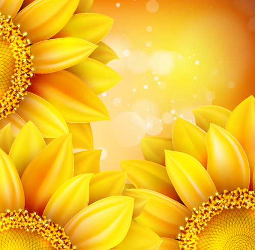 Sunflower flower with bokeh vector background 18  