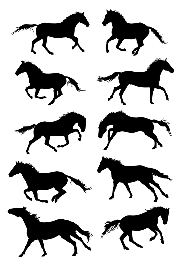 Set de silhouette vector chevaux 03  