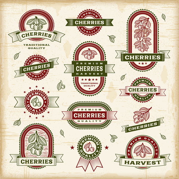 Vintage cherry labels set vector  