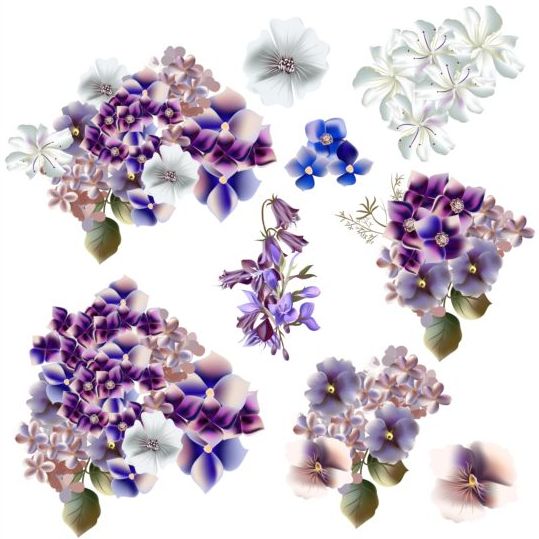 Aquarell Blumen lila und blaue Farben Vektor  
