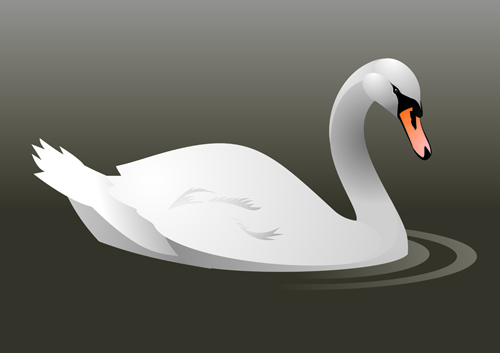 Vivid swans elements vector 01  