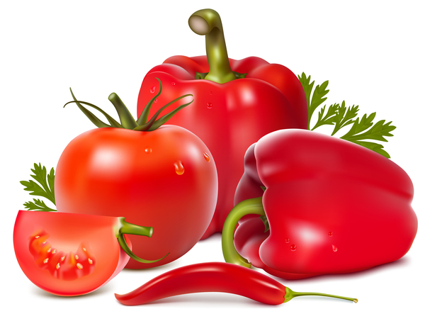 poivre avec le vecteur de la tomate 02  