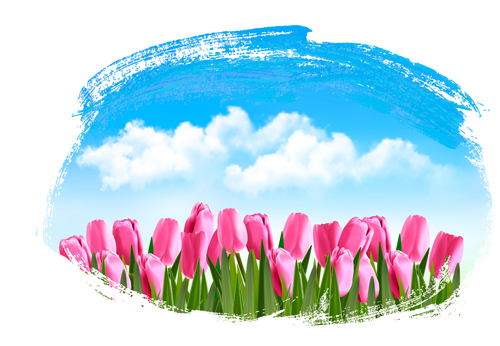 Blue sky with tulip spring background vector  