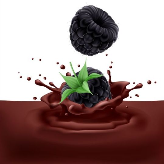 Шоколадный всплеск с вектором спелых ягод  