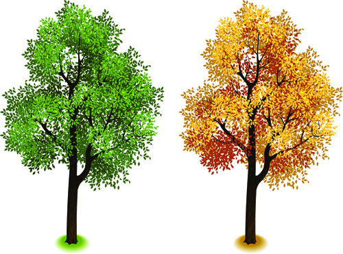 Creative isometric trees design vector 02  