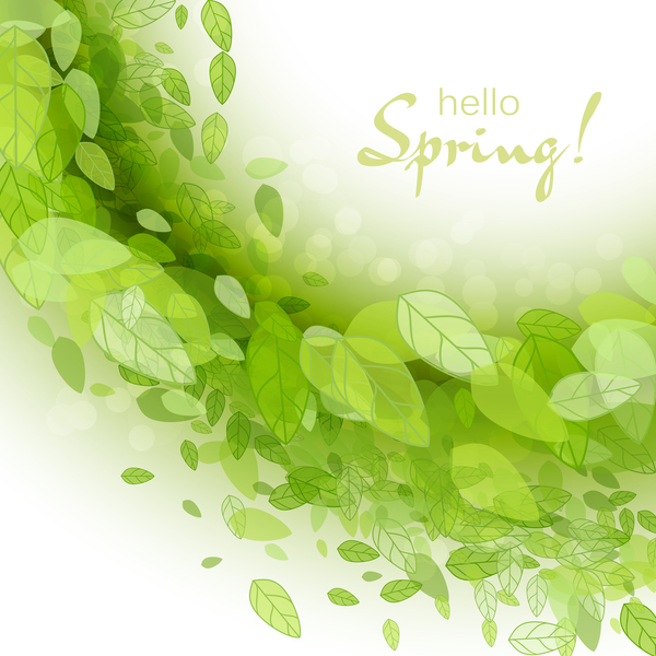 Elegantes Grün lässt Frühlingshintergrundvektor 04  