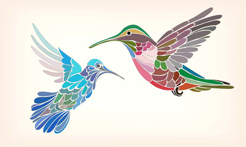 Floral pattern hummingbird vector 01  