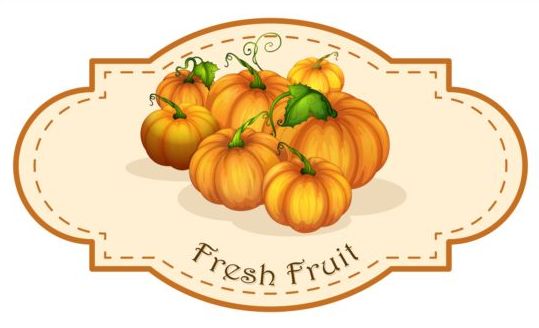 Materiale vettoriale vintage per etichette di frutta fresca  