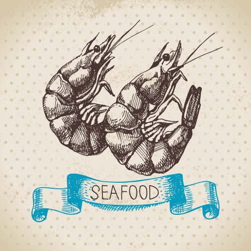 Hand drawn seafood with ribbon vectors 08  