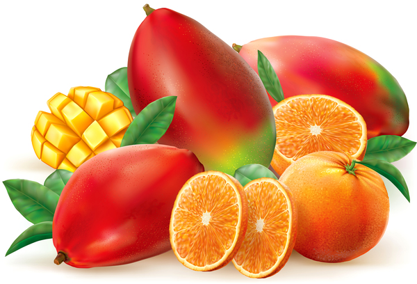 Apelsin-och mango vektor  