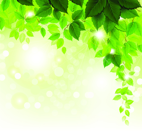Refreshing green leaves background vector 01  