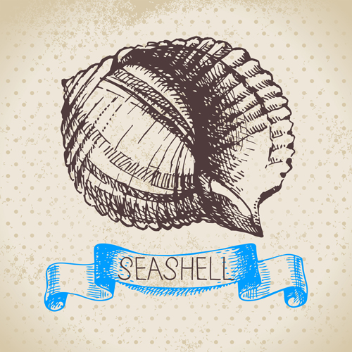 Set of seashell hand drawn vectors material 02  