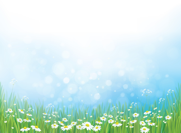White daisies with spring backgrounds vector set 15  
