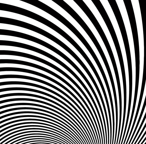 Zebra Stripes background vector  