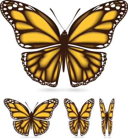 Different color butterfly sample vector 01  