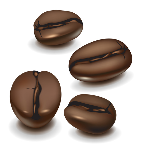 現実的なコーヒー豆のデザインベクトル  