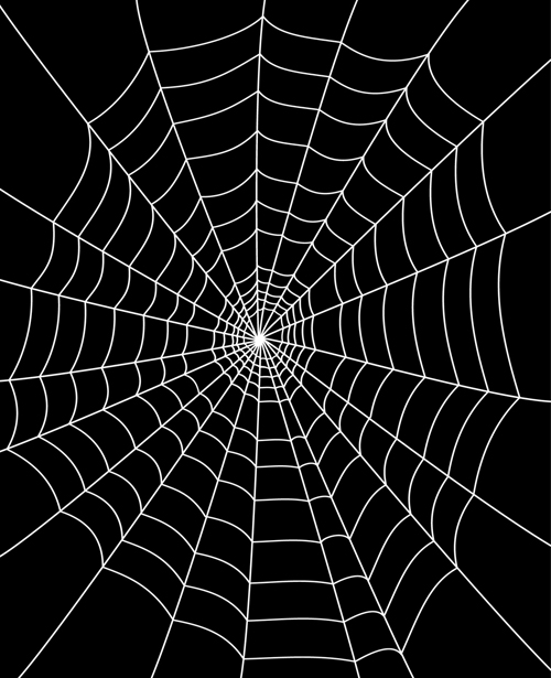 Set of Spider web vector background 02  