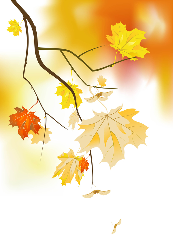 金の秋の葉ベクトルと枝  