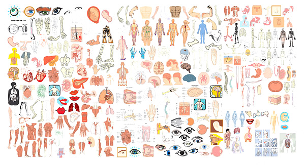 Elements of structure of the human body organs Vector  