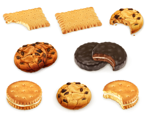 Biscuit food design vectors 04  