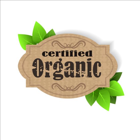 Certifierad ekologisk etikett och gröna blad vektor 03  