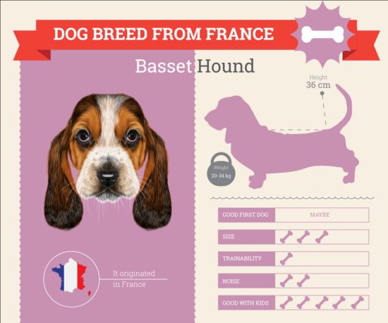 Dog breed business template vector 15  