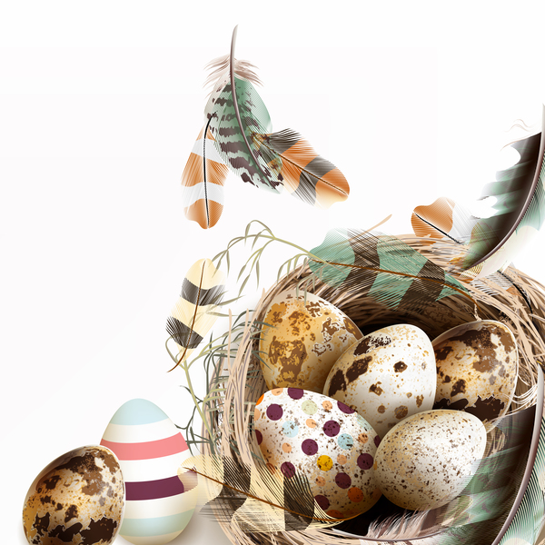 Fond de Pâques avec des œufs de nids d’oiseaux et de plumes vecteur 04  