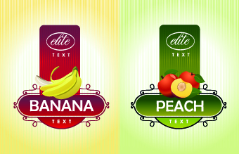 Different Fruit stickers vector set 03  