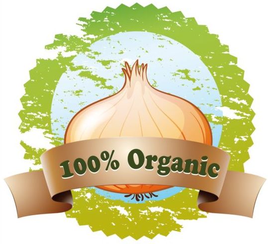 Etichetta di vettore di cipolla organica  