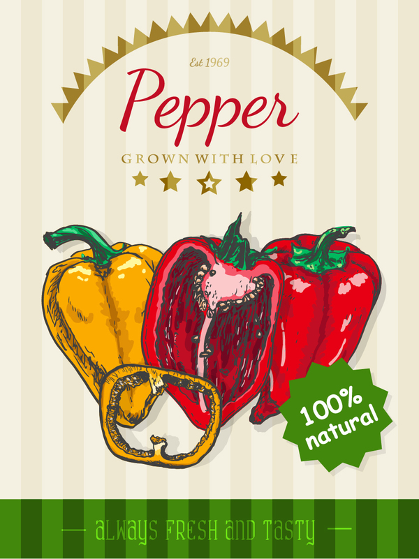 Pepper poster vector  