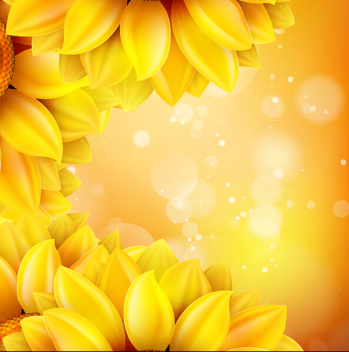Sunflower flower with bokeh vector background 17  