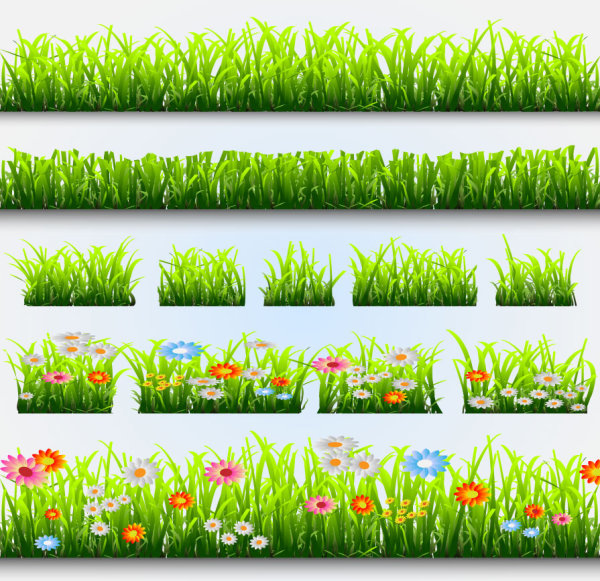 Grass and Flowers Decoration elements vector 04  