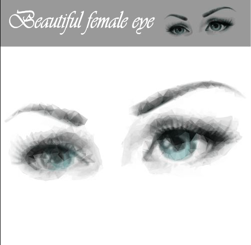 Beautiful female eye vector graphics  