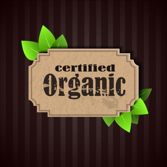 Сертифицированные органические этикетки и зеленые листья Векторный 02  