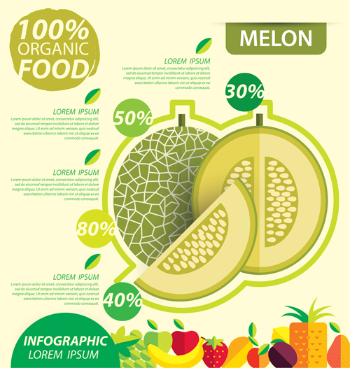Flat fruits infographic vectors template 09  