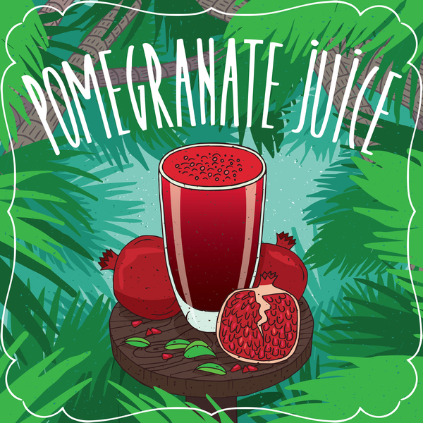 Fresh pomegranate juice poster vector  