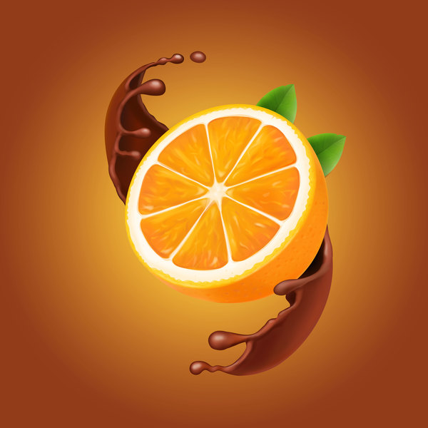 Orange mit Schokoladenvektor  