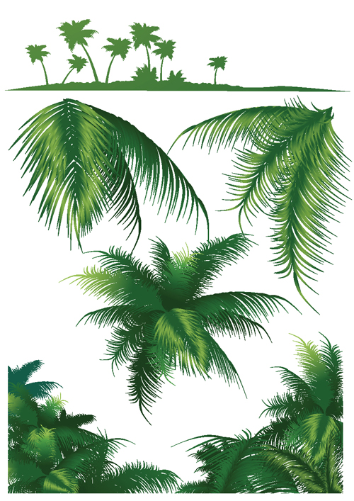 Set of green Palm leaves vector 03  