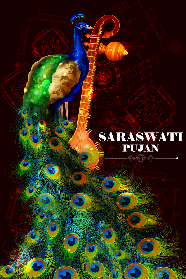Saraswati pujan Festivalplakat mit Pfauvektor 01  