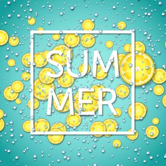 Summer fizzy water background with limon slices vector 02  
