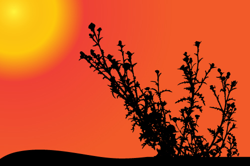 Sunset with plant silhouette vector  