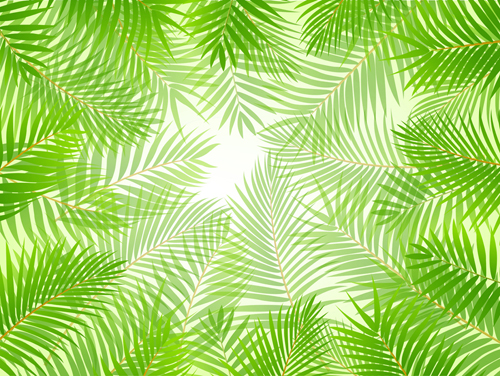 Elements of Tropical Scenery background vector 01  